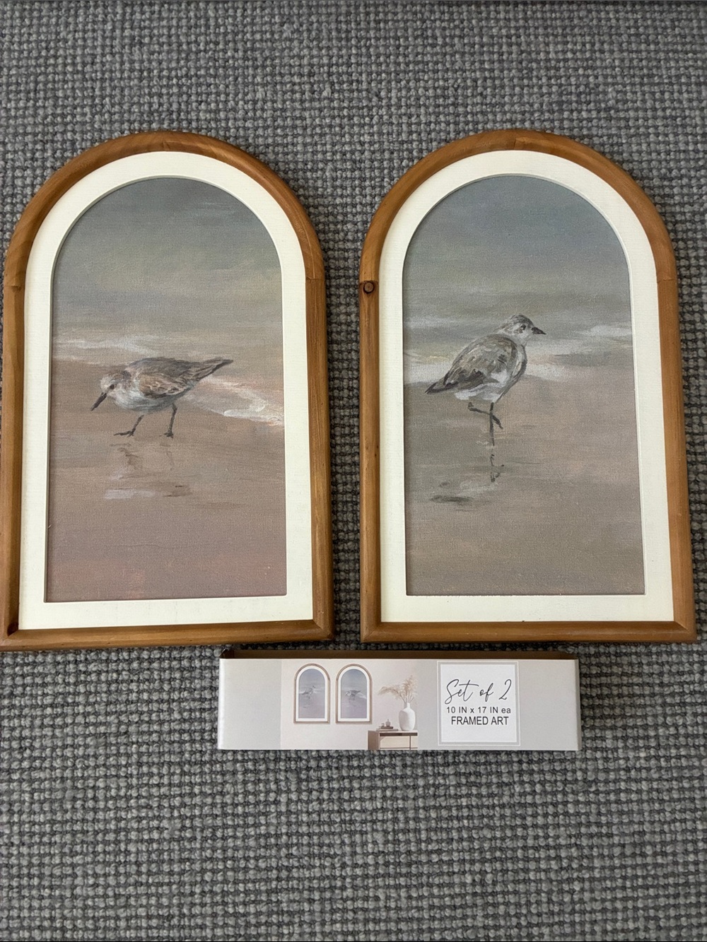NIP Set of 2 Framed Shorebird Prints